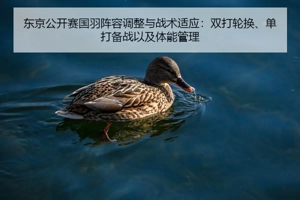 东京公开赛国羽阵容调整与战术适应：双打轮换、单打备战以及体能管理